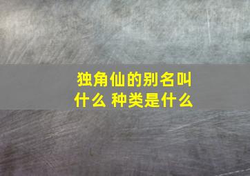 独角仙的别名叫什么 种类是什么